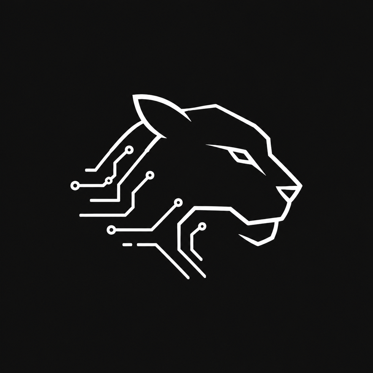Pablo logo
